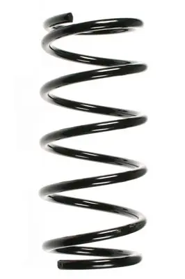 Handler.Part Coil spring Spidan 55202 1