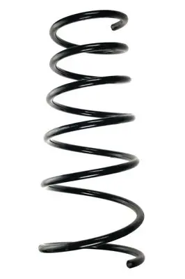 Handler.Part Coil spring Spidan 55253 1