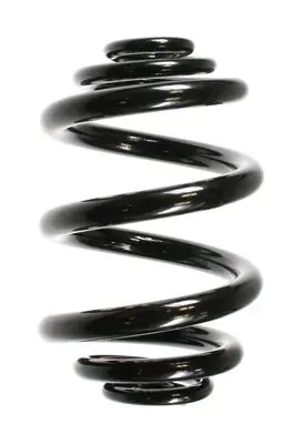 Handler.Part Coil spring Spidan 55711 1