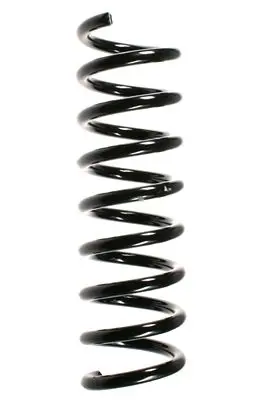 Handler.Part Coil spring Spidan 55723 1