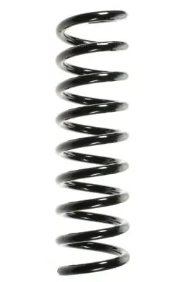 Handler.Part Coil spring Spidan 55738 1