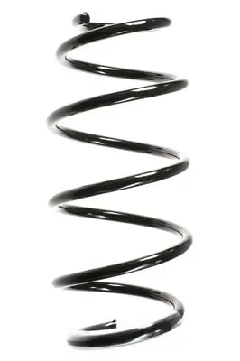 Handler.Part Coil spring Spidan 55966 1