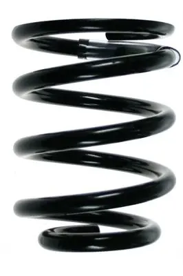 Handler.Part Coil spring Spidan 56463 1