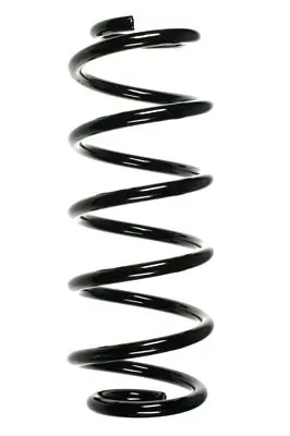 Handler.Part Coil spring Spidan 56874 1