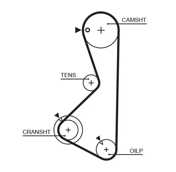 Handler.Part Timing belt Gates 5075XS 1