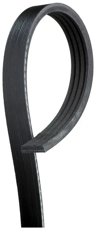 Handler.Part V-ribbed belts Gates 4PK813 1