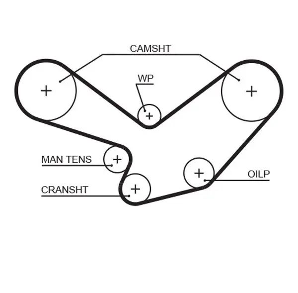 Handler.Part Timing belt Gates 5096 1