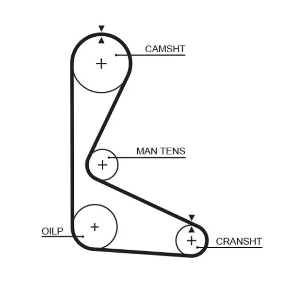 Handler.Part Timing belt Gates 5103 1