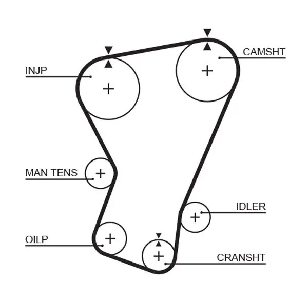 Handler.Part Timing belt Gates 5065 1