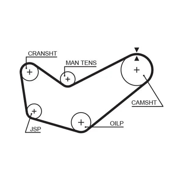 Handler.Part Timing belt Gates 5218 1