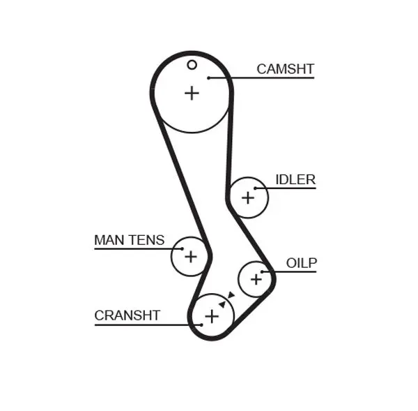 Handler.Part Timing belt Gates 5282XS 1