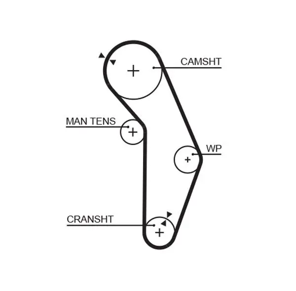 Handler.Part Timing belt Gates 5352XS 1