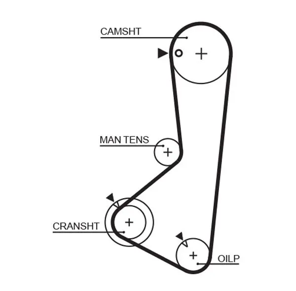 Handler.Part Timing belt Gates 5372XS 1