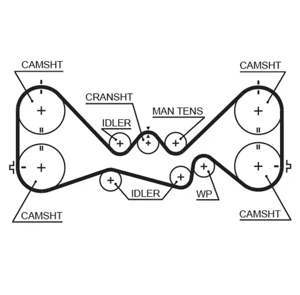 Handler.Part Timing belt Gates 5384XS 1