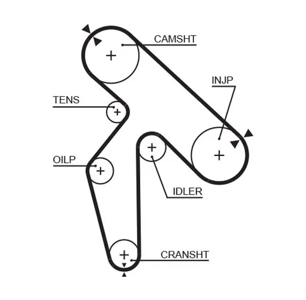 Handler.Part Timing belt Gates 5391XS 1