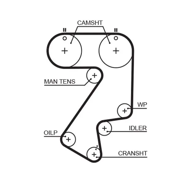 Handler.Part Timing belt Gates 5404XS 1