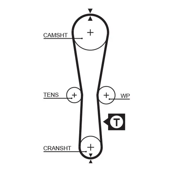 Handler.Part Timing belt Gates 5454XS 1