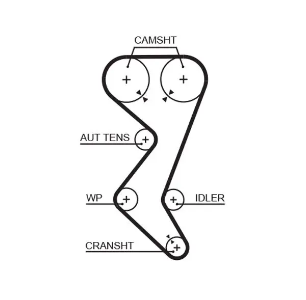 Handler.Part Timing belt Gates 5528XS 1