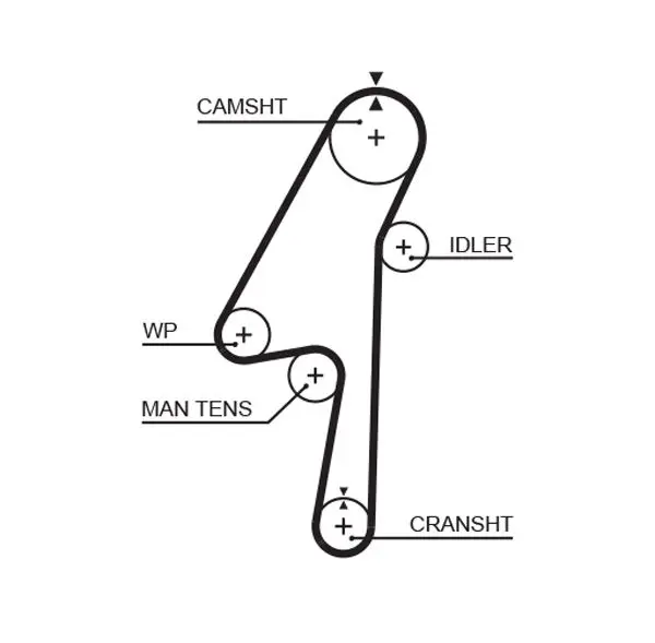 Handler.Part Timing belt set Gates K015580XS 2