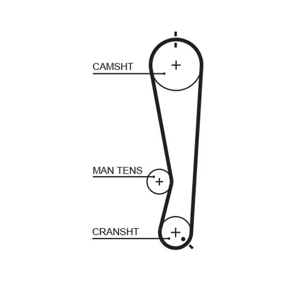 Handler.Part Timing belt set Gates K015591XS 2