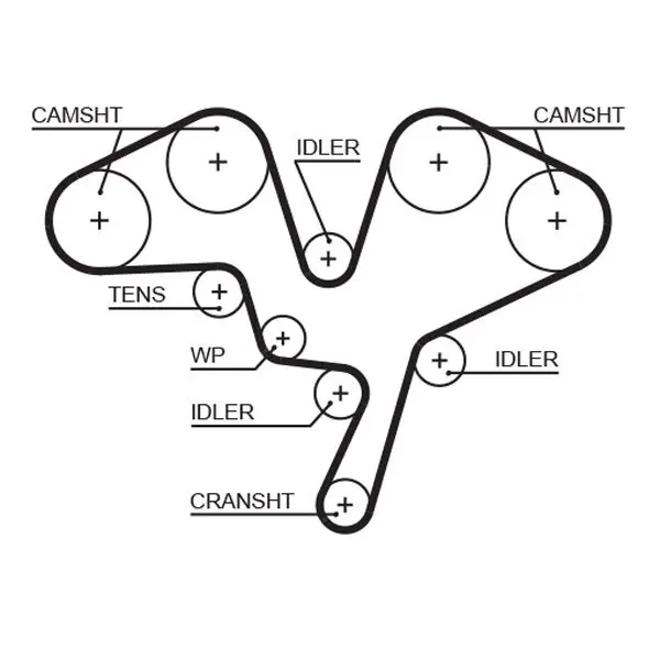 Handler.Part Timing belt Gates 5602XS 1