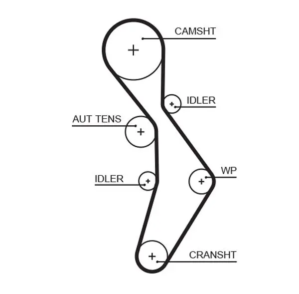 Handler.Part Timing belt Gates 5604XS 1