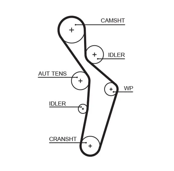 Handler.Part Timing belt Gates 5616XS 1