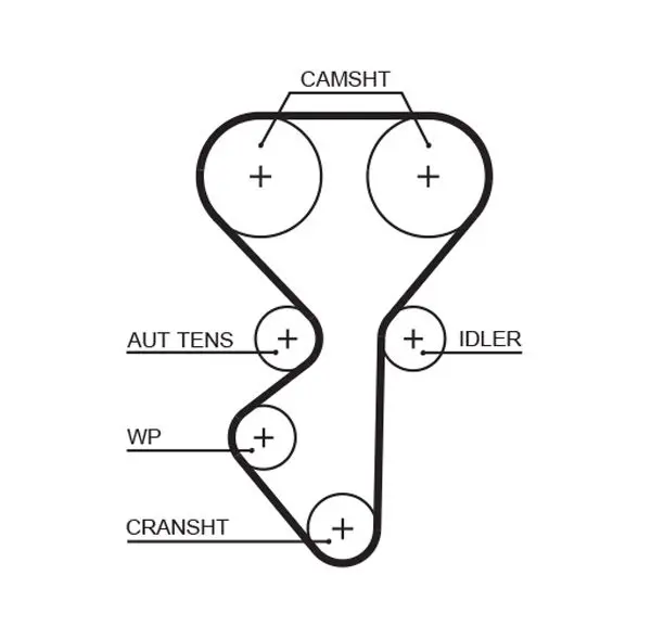 Handler.Part Timing belt Gates 5631XS 1