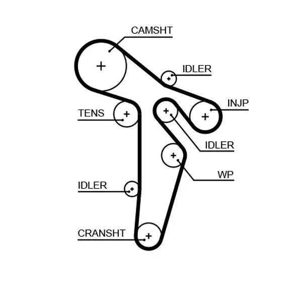 Handler.Part Timing belt Gates 5649XS 1