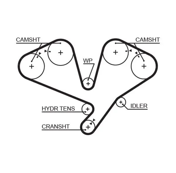 Handler.Part Timing belt Gates 5659XS 1