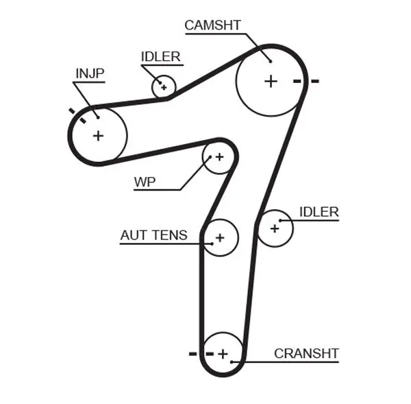 Handler.Part Timing belt Gates 5663XS 1