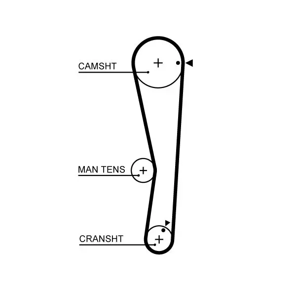 Handler.Part Timing belt Gates 5687XS 1