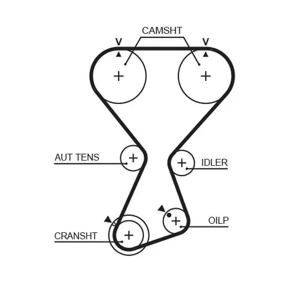 Handler.Part Timing belt Gates T313 1