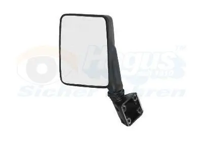 Handler.Part Outside mirror VAN WEZEL 1745801 1