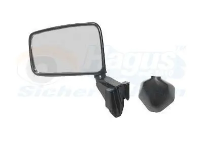 Handler.Part Outside mirror VAN WEZEL 4336801 1