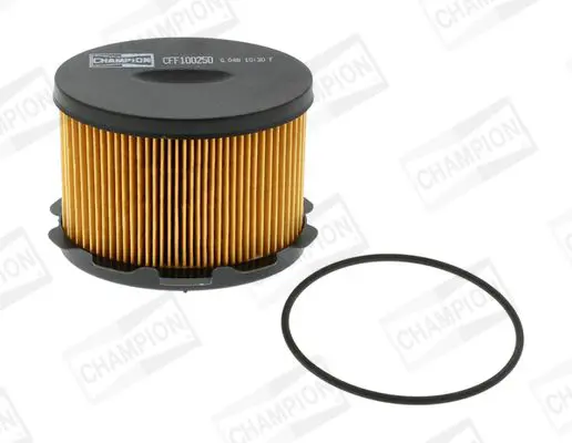 Handler.Part Fuel filter CHAMPION CFF100250 1