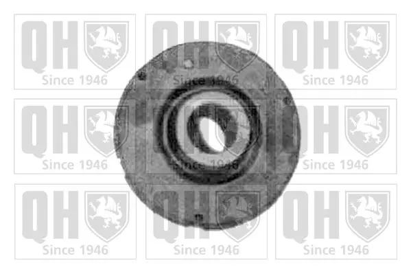 Handler.Part Control arm-/trailing arm bush QUINTON HAZELL EMS2447 1