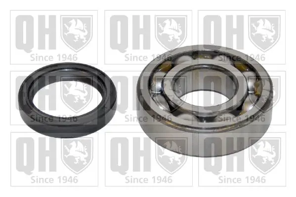 Handler.Part Wheel bearing kit QUINTON HAZELL QWB193C 1