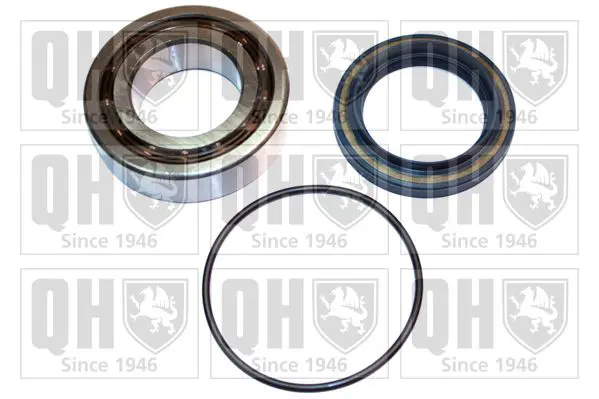 Handler.Part Wheel bearing kit QUINTON HAZELL QWB194C 1