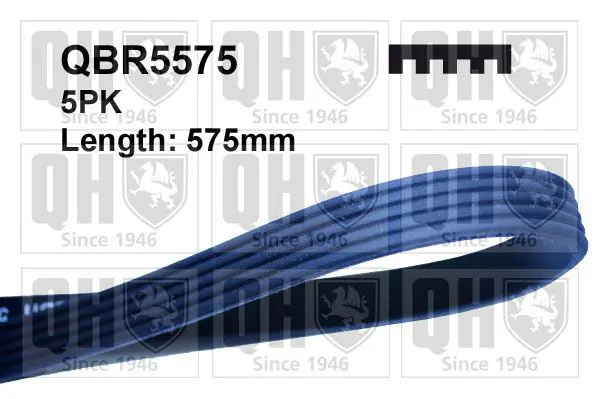 Handler.Part V-ribbed belts QUINTON HAZELL QBR5575 1