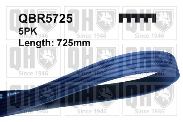 Handler.Part V-ribbed belts QUINTON HAZELL QBR5725 1