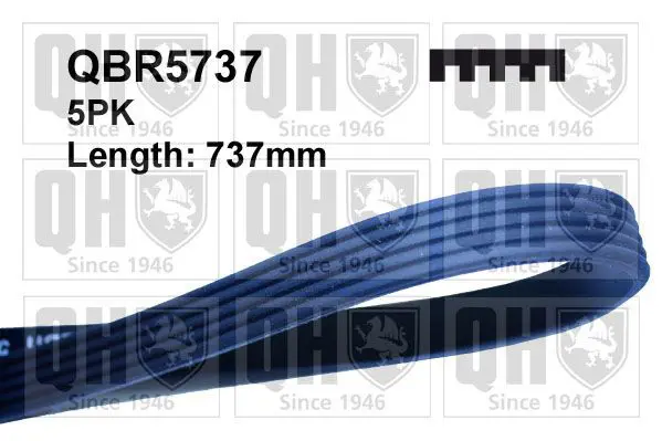 Handler.Part V-ribbed belts QUINTON HAZELL QBR5737 1