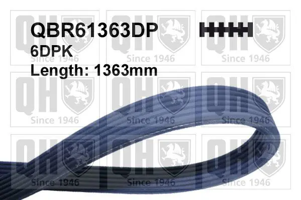 Handler.Part V-ribbed belts QUINTON HAZELL QBR61363DP 1