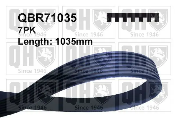 Handler.Part V-ribbed belts QUINTON HAZELL QBR71035 1