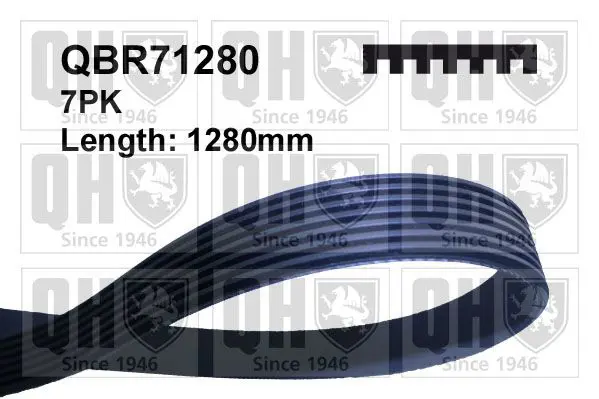 Handler.Part V-ribbed belts QUINTON HAZELL QBR71280 1