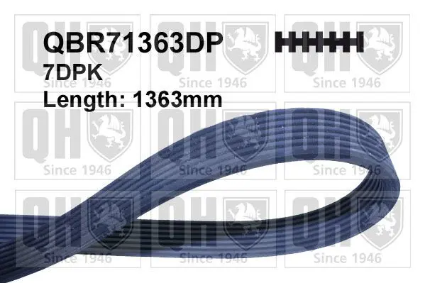 Handler.Part V-ribbed belts QUINTON HAZELL QBR71363DP 1