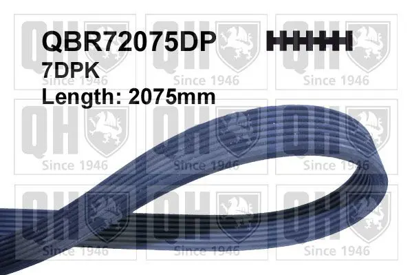 Handler.Part V-ribbed belts QUINTON HAZELL QBR72075DP 1