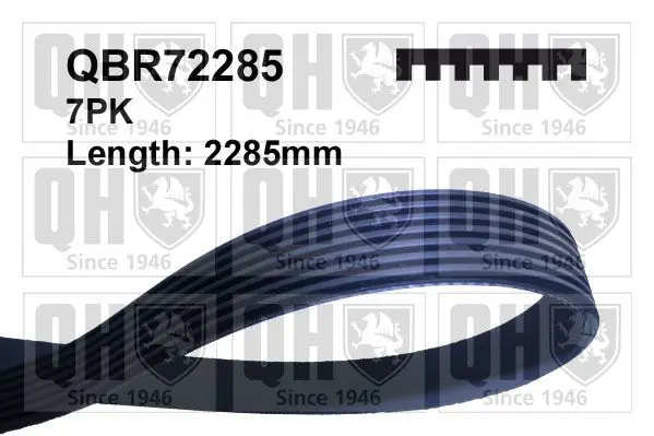 Handler.Part V-ribbed belts QUINTON HAZELL QBR72285 1