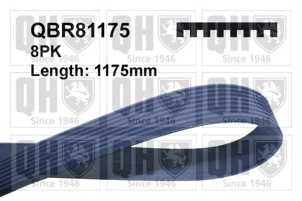 Handler.Part V-ribbed belts QUINTON HAZELL QBR81175 1