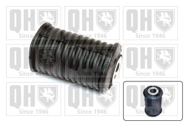 Handler.Part Bush, leaf spring QUINTON HAZELL EMS8494 1